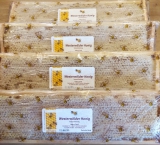 Honigwaben frisch aus dem Bienenstock