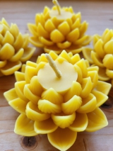 Kerze Lotusblume